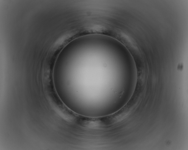 X0000093380548200710111457