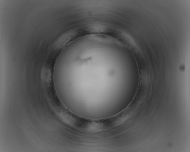 X0000093380549200710111457