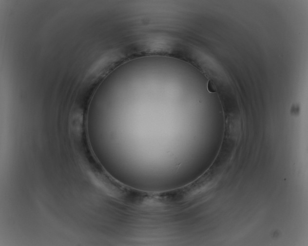 X0000093380550200710111458