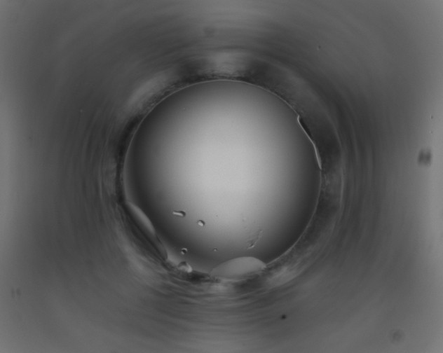 X0000093380552200710111458