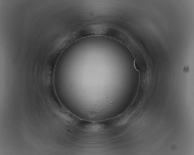 X0000093380553200710111458