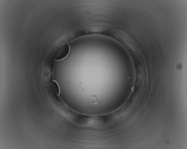 X0000093380555200710111458