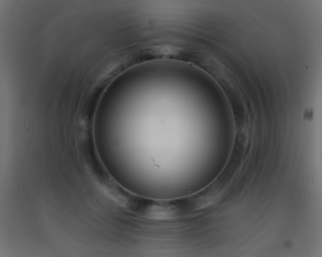 X0000093380556200710111458