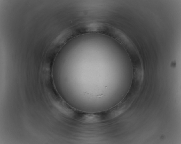 X0000093380557200710111458
