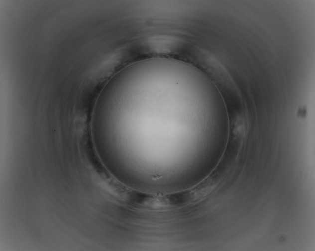 X0000093380559200710111458