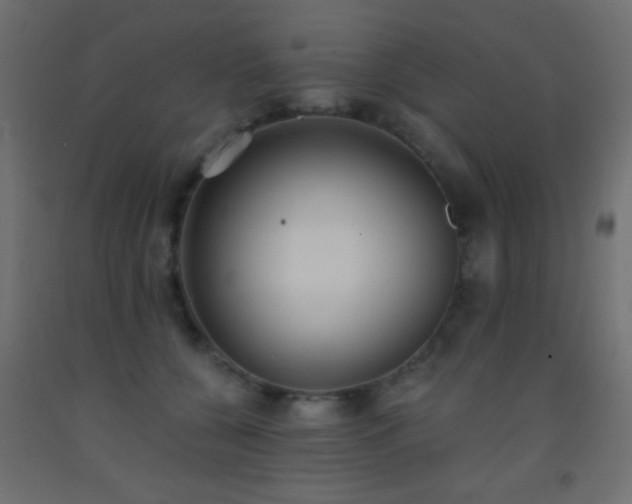 X0000093380560200710111458