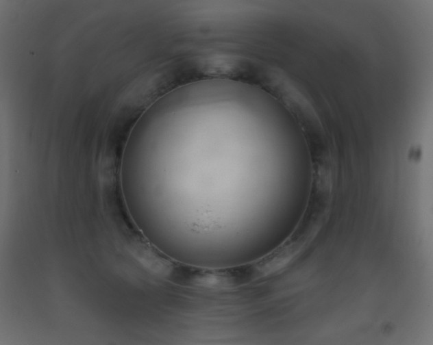 X0000093380561200710111458