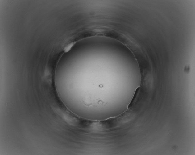 X0000093380562200710111458