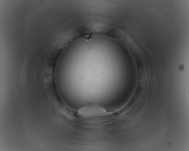 X0000093380563200710111458