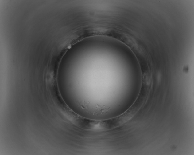 X0000093380564200710111458