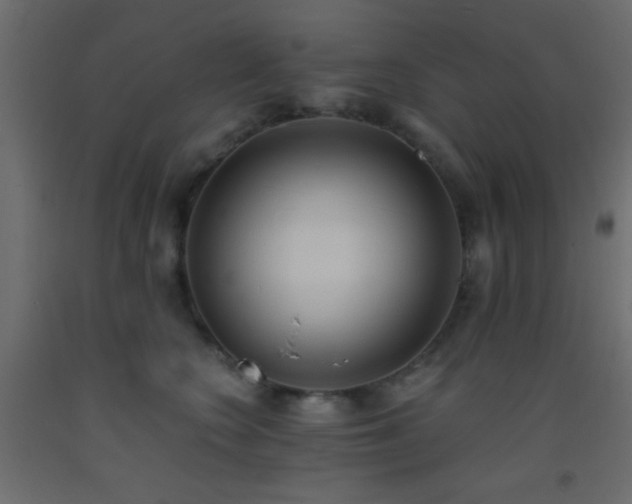 X0000093380566200710111458