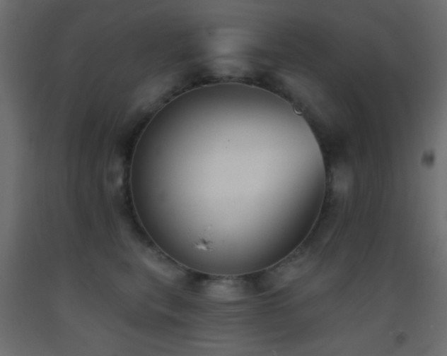 X0000093380567200710111458