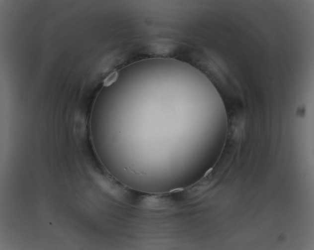 X0000093380568200710111458