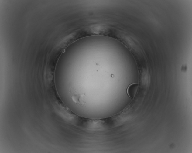 X0000093380569200710111458
