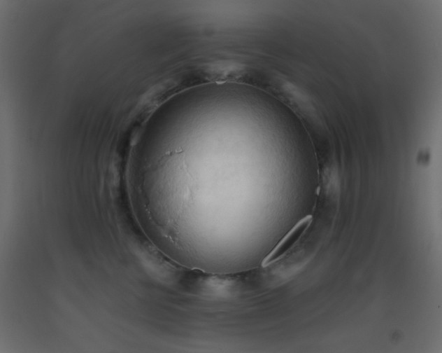 X0000093380570200710111458
