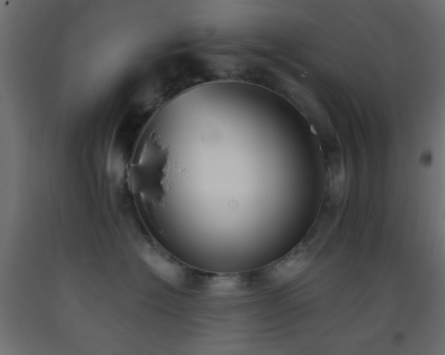 X0000093380574200710111458