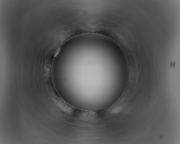 X0000093380576200710111458