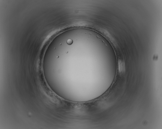 X0000093380579200710111457