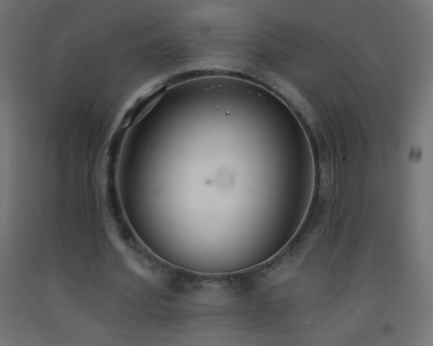 X0000093380580200710111457