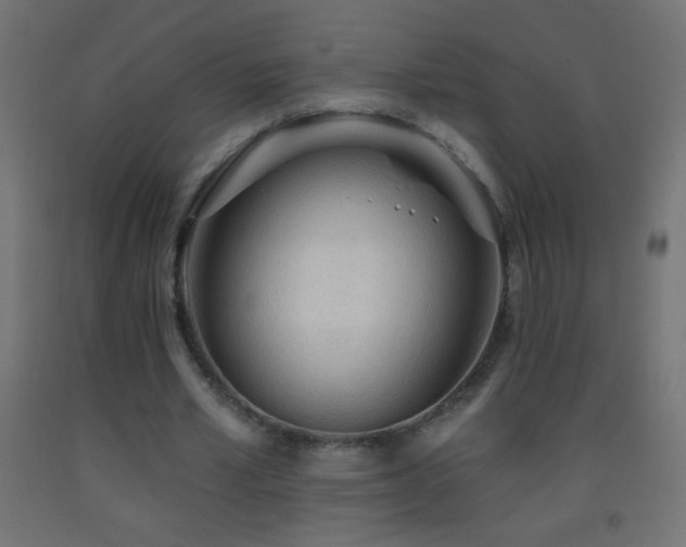 X0000093380581200710111457