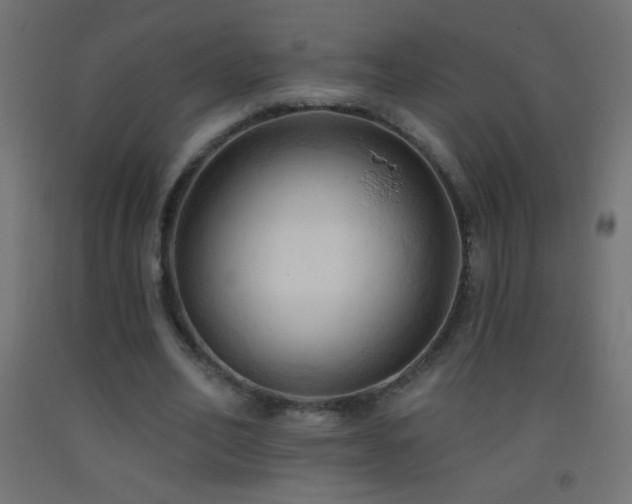 X0000093380582200710111457