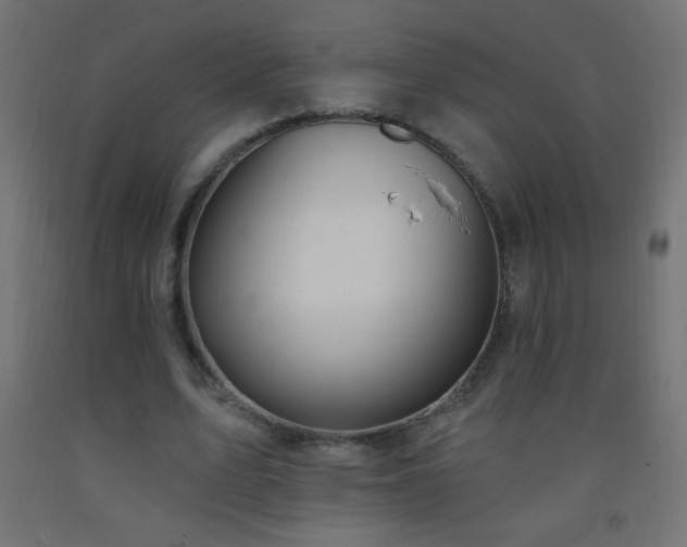 X0000093380583200710111457
