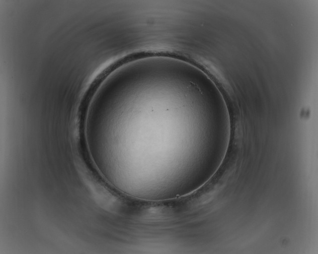 X0000093380584200710111457