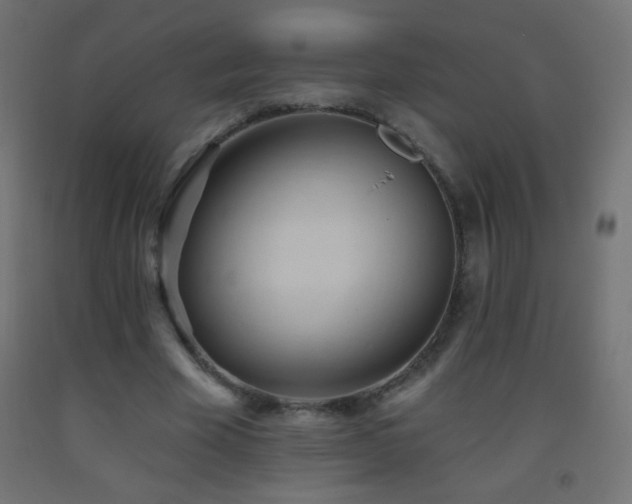 X0000093380585200710111457