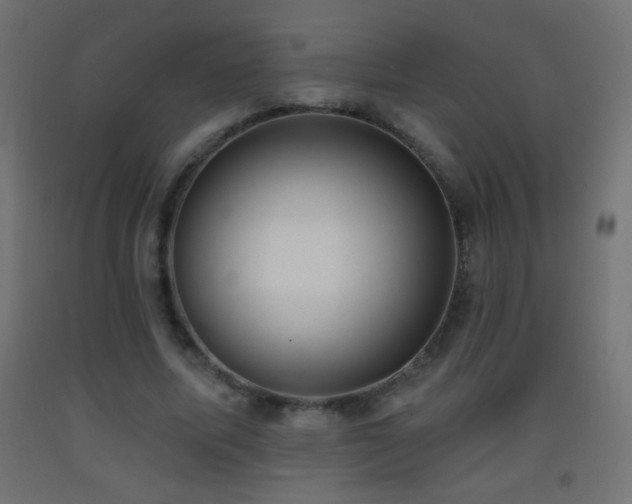 X0000093380587200710111457