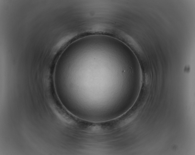 X0000093380588200710111457