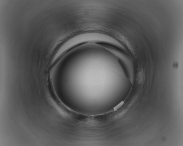 X0000093380589200710111457