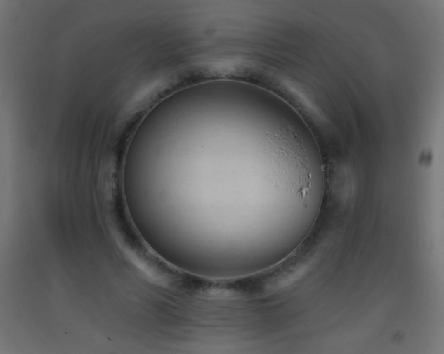 X0000093380590200710111457