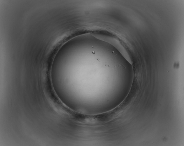 X0000093380591200710111457