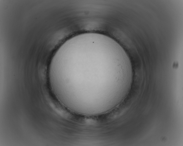 X0000093380592200710111457