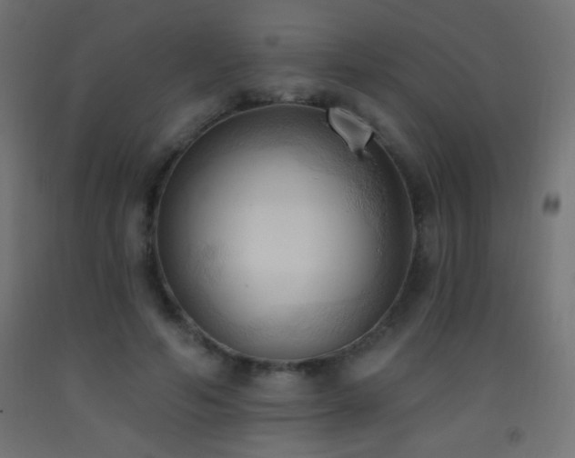 X0000093380594200710111457