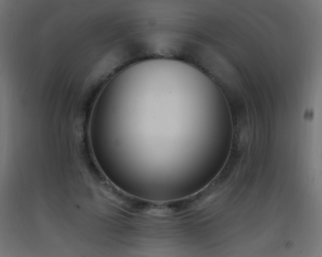 X0000093380595200710111457