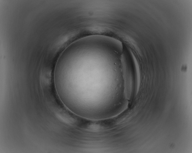 X0000093380596200710111457