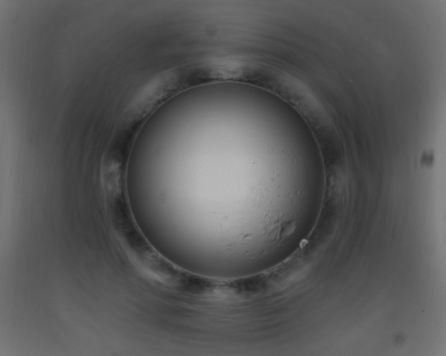X0000093380598200710111457