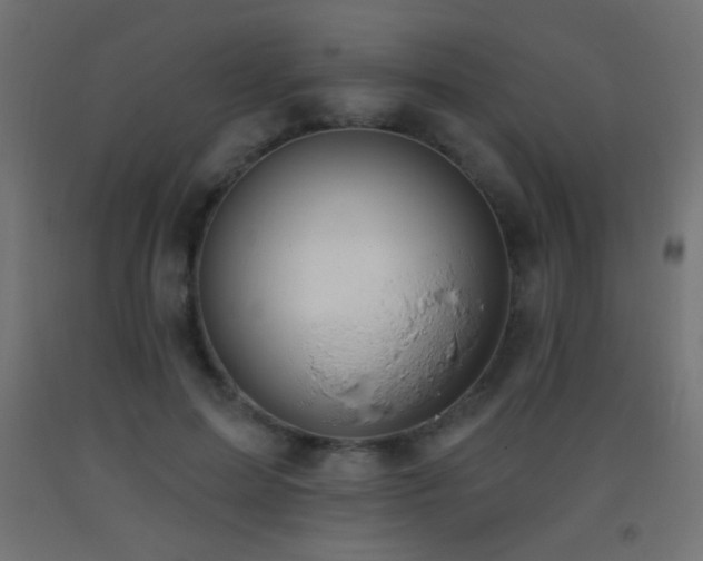 X0000093380599200710111457