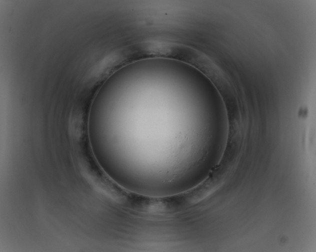 X0000093380600200710111457