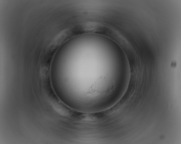 X0000093380601200710111457
