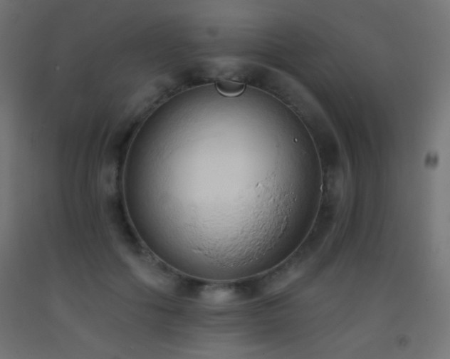 X0000093380602200710111457