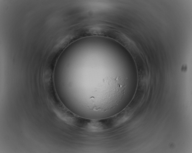 X0000093380603200710111457