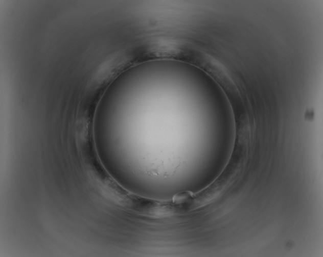 X0000093380604200710111457