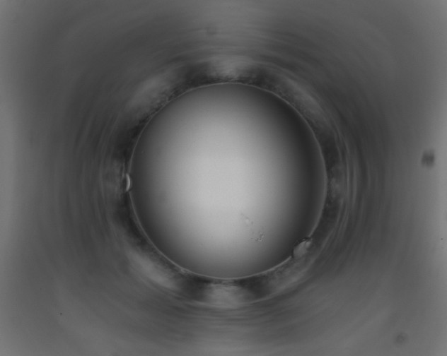 X0000093380605200710111457