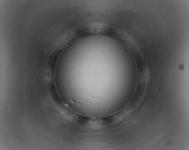 X0000093380606200710111457
