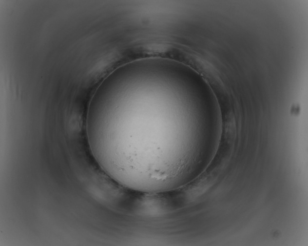 X0000093380608200710111457