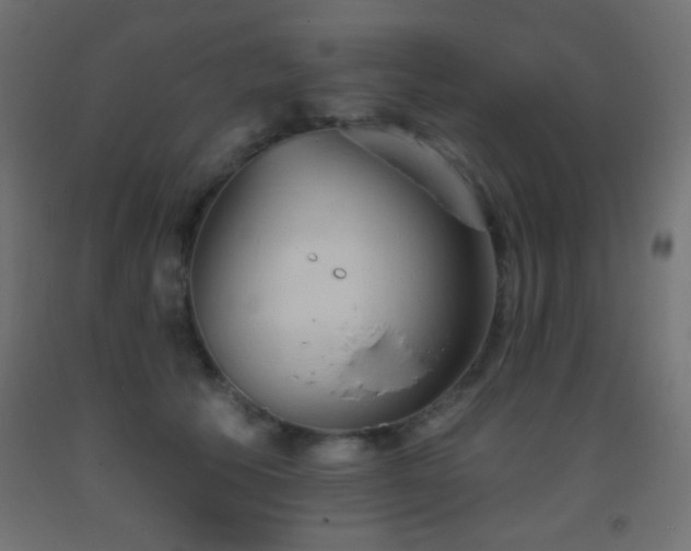 X0000093380609200710111457