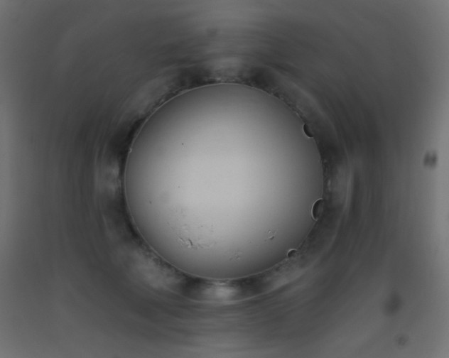 X0000093380610200710111457