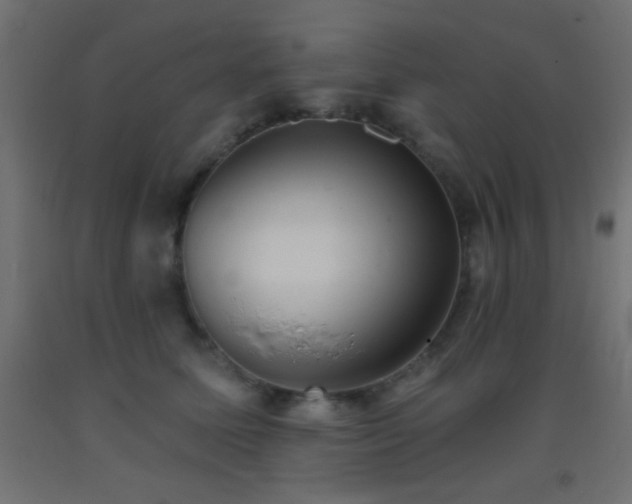 X0000093380611200710111457